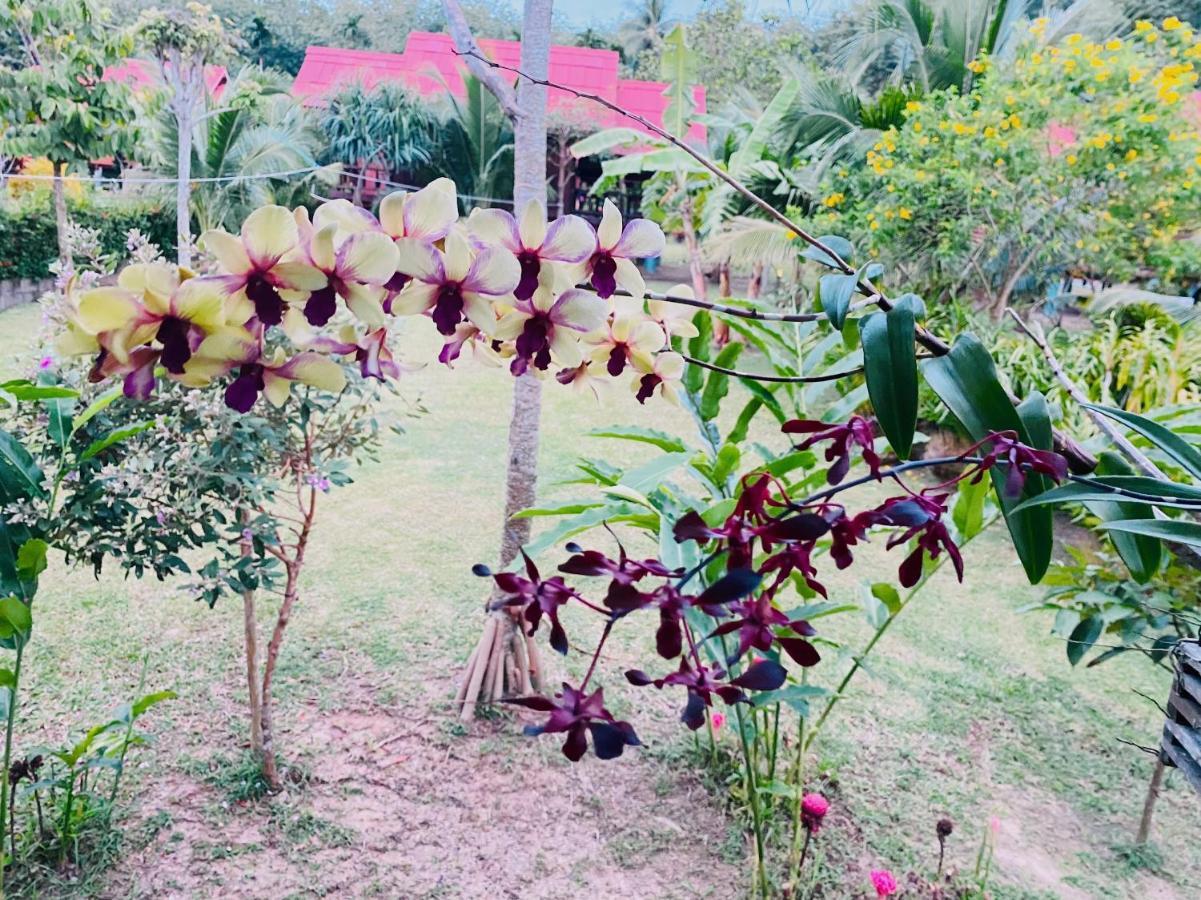 Nadia Resort Kohjum Koh Jum Εξωτερικό φωτογραφία