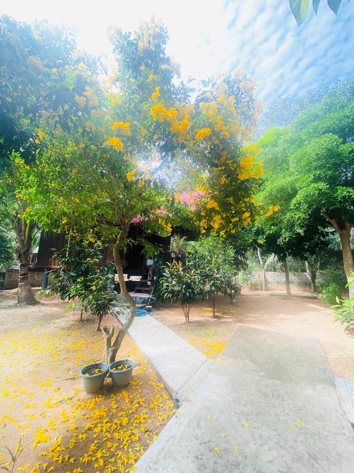 Nadia Resort Kohjum Koh Jum Εξωτερικό φωτογραφία